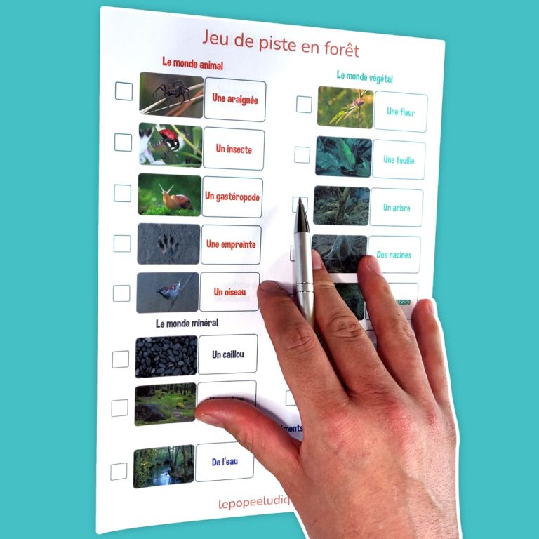 cherche-et-trouve-jeu-de-piste-en-for-t-une-aventure-enchanteresse